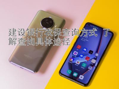 建设银行农保查询方式 了解查询具体途径 