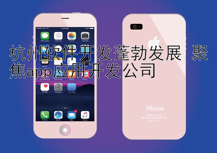 杭州软件开发蓬勃发展 聚焦app应用开发公司 