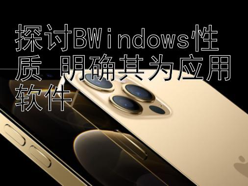 探讨BWindows性质 明确其为应用软件 