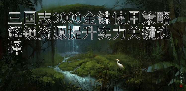 三国志3000金铢使用策略 解锁资源提升实力关键选择 